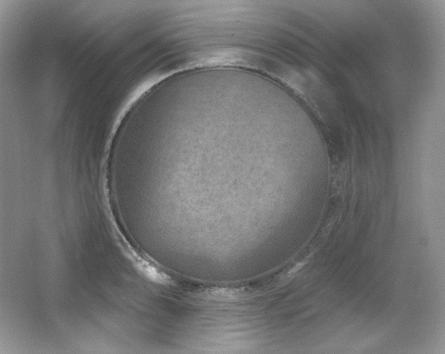 X0000065261086200602171448