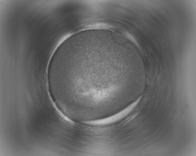 X0000065261087200602171448