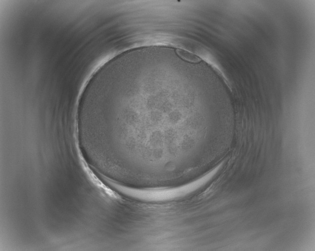 X0000065261088200602171448