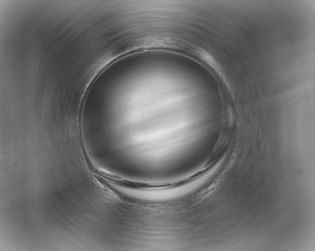 X0000065261089200602171448