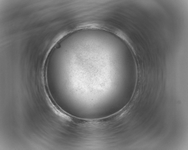 X0000065261090200602171448