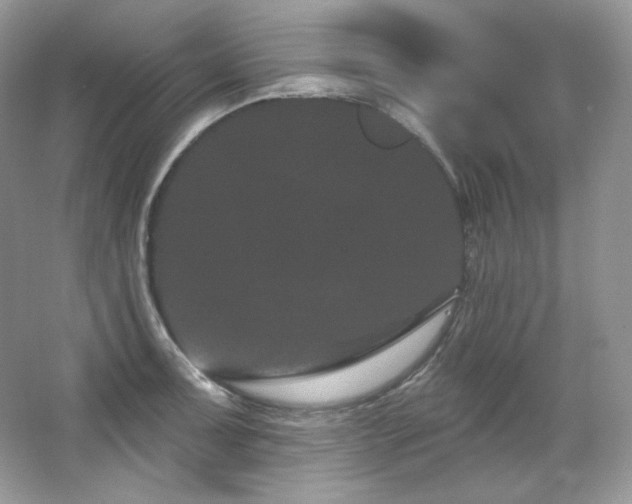 X0000065261091200602171448