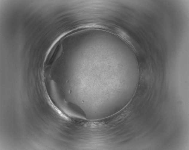 X0000065261092200602171448