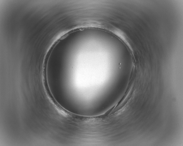 X0000065261093200602171448