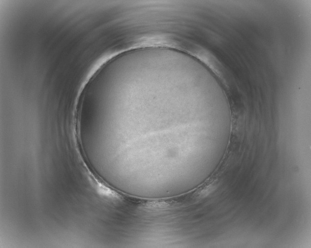 X0000065261094200602171448