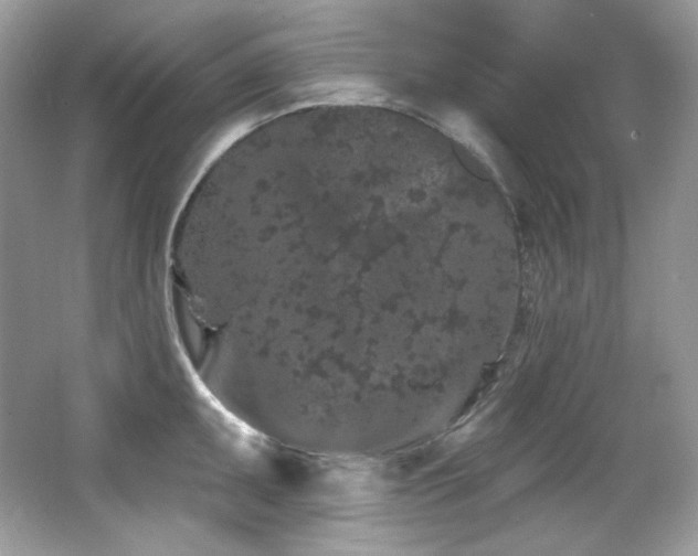 X0000065261095200602171448