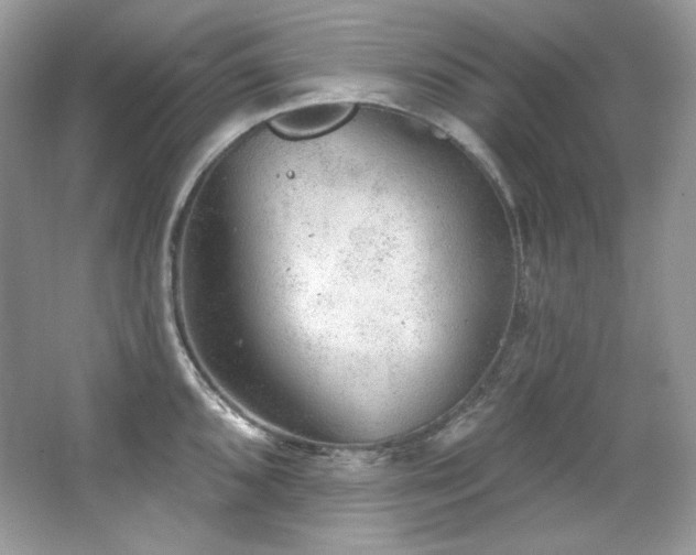 X0000065261096200602171448