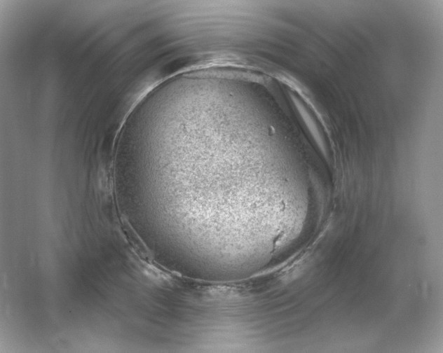 X0000065261097200602171448