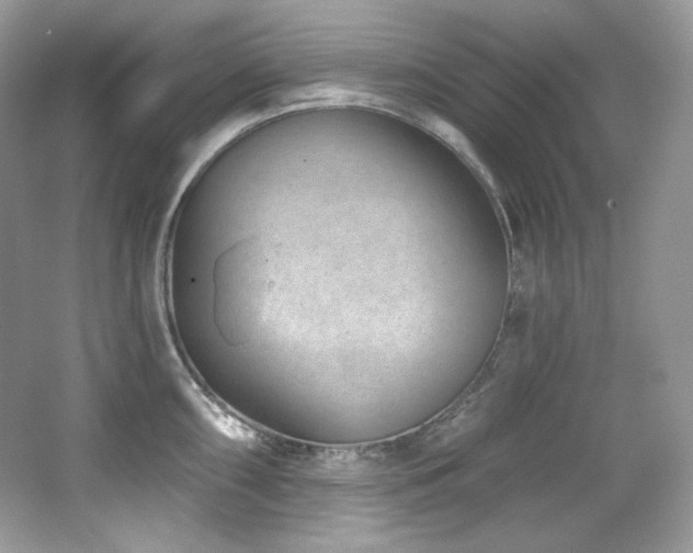 X0000065261098200602171448