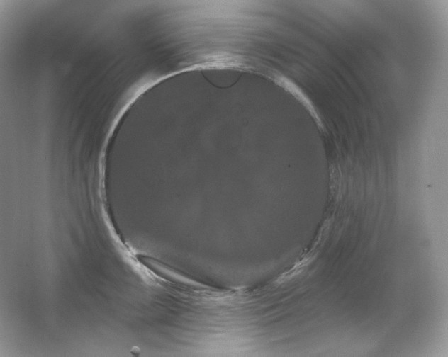 X0000065261099200602171448