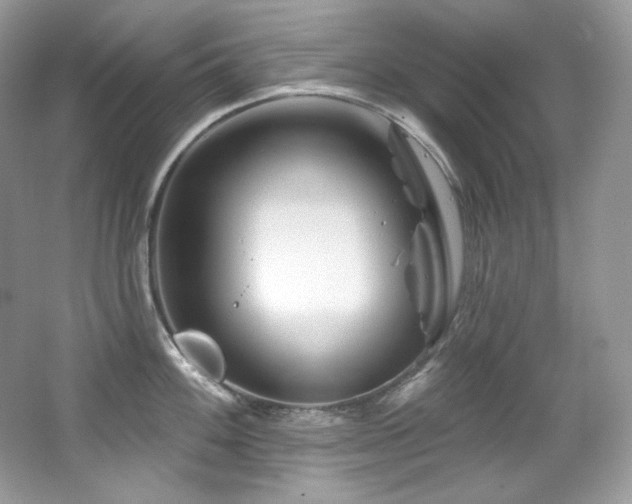 X0000065261100200602171448