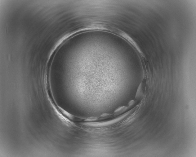 X0000065261101200602171448