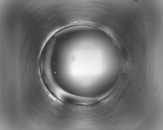 X0000065261102200602171448