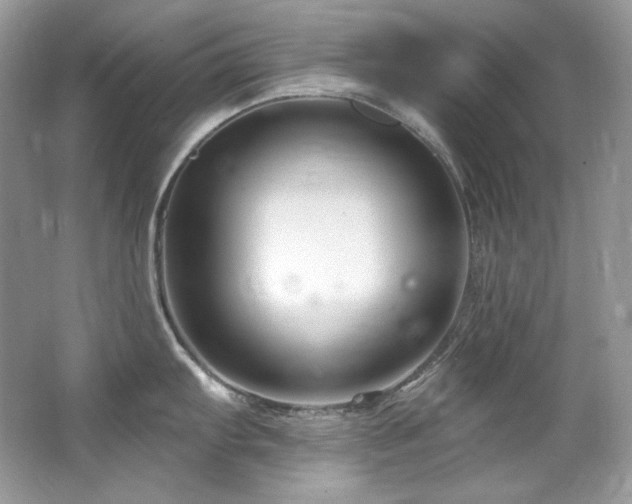 X0000065261103200602171448