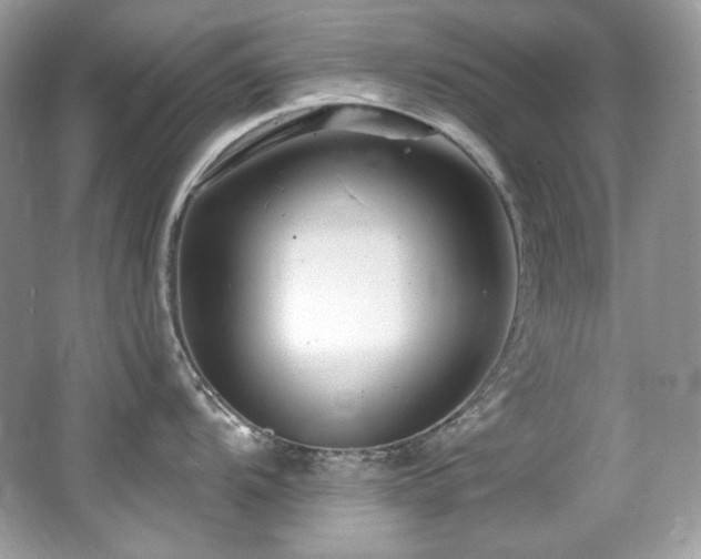 X0000065261104200602171448