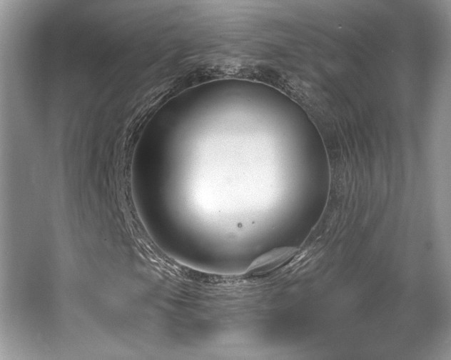 X0000065261105200602171447