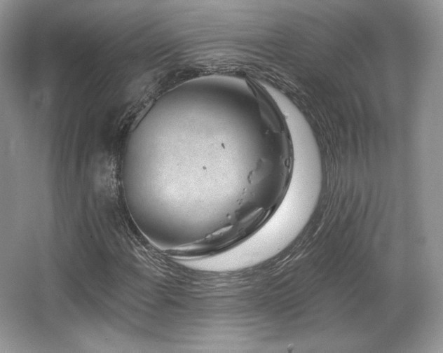 X0000065261108200602171447