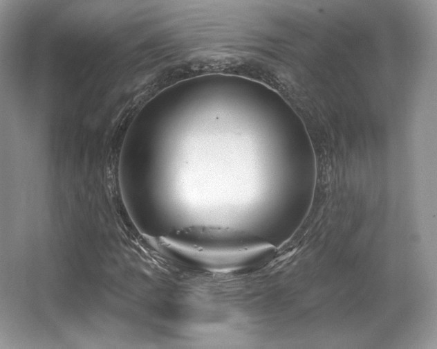 X0000065261109200602171447