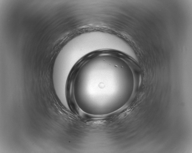 X0000065261110200602171447