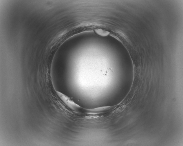 X0000065261111200602171447