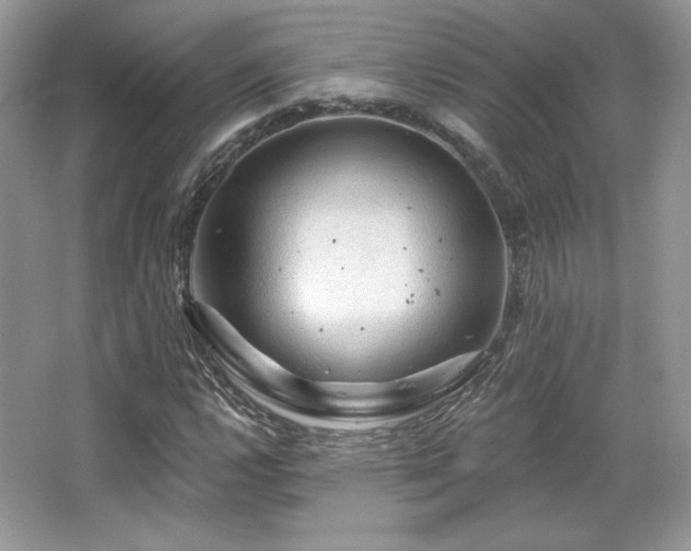 X0000065261112200602171447