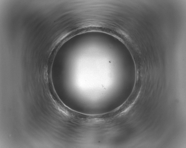 X0000065261113200602171447