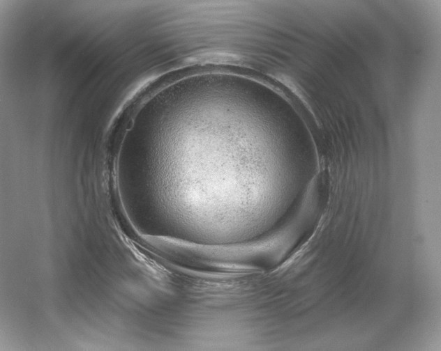 X0000065261115200602171447