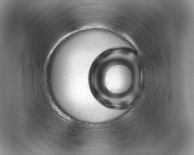 X0000065261116200602171447