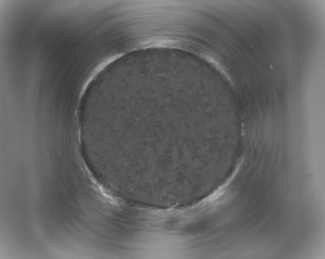 X0000065261117200602171447