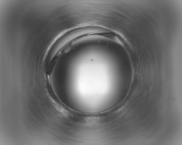 X0000065261118200602171447