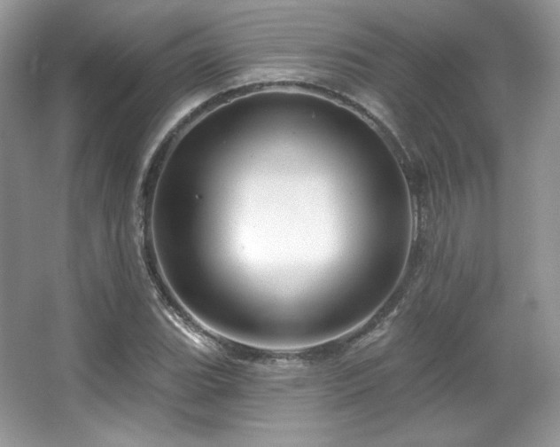 X0000065261119200602171447