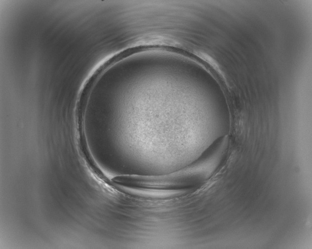 X0000065261120200602171447