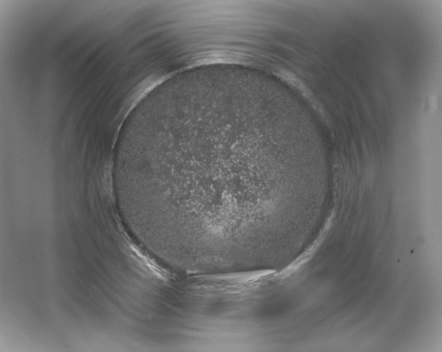 X0000065261121200602171447