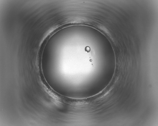 X0000065261122200602171447