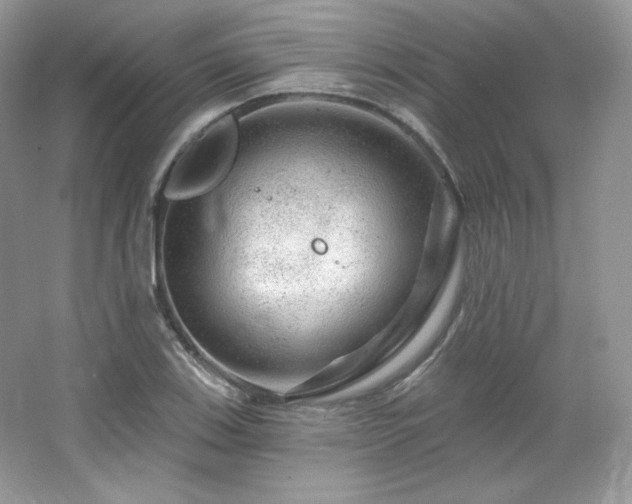 X0000065261123200602171447