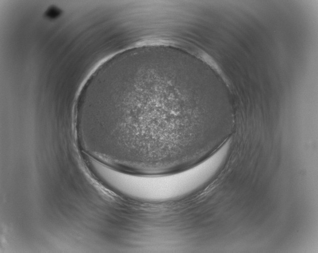 X0000065261124200602171447