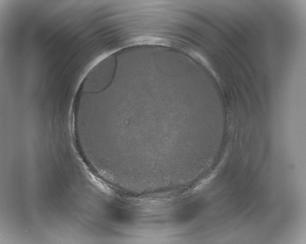 X0000065261125200602171447