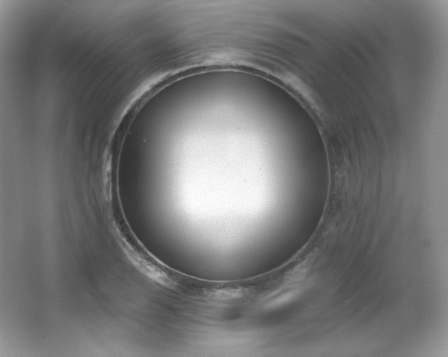 X0000065261126200602171447