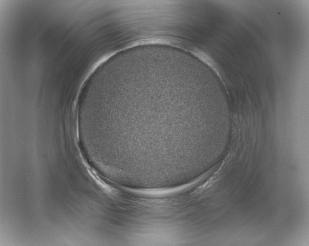 X0000065261127200602171447