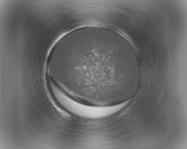 X0000065261128200602171447