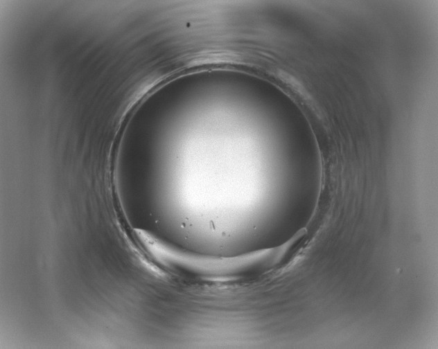 X0000065261129200602171447