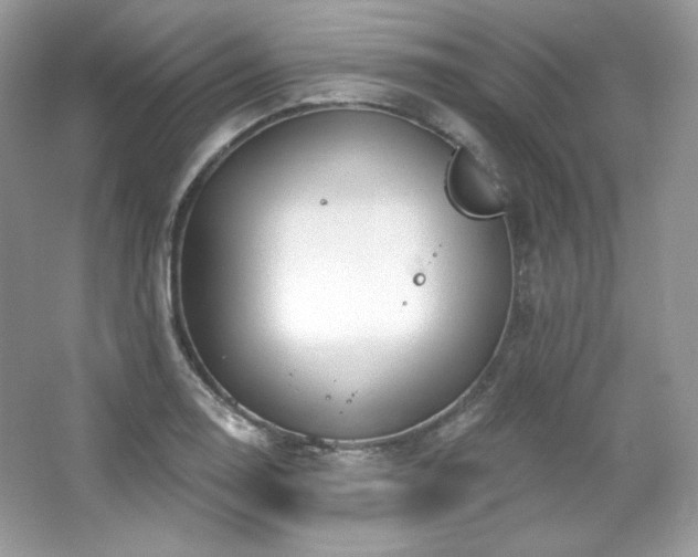 X0000065261130200602171447