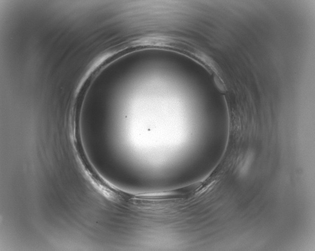 X0000065261131200602171447