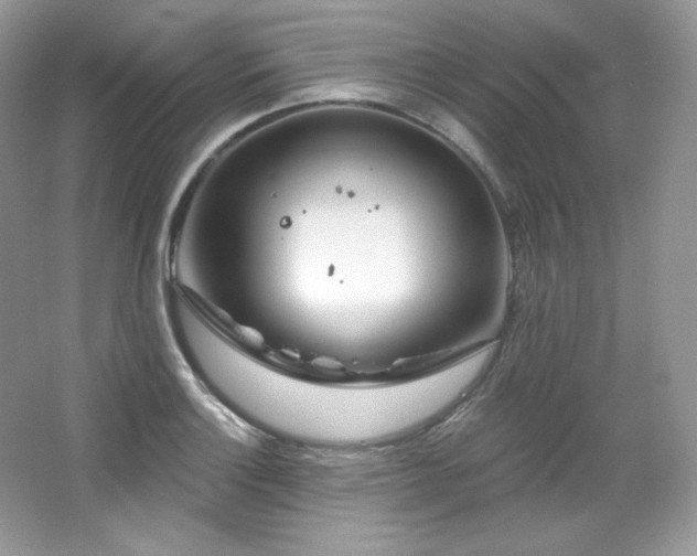 X0000065261132200602171447