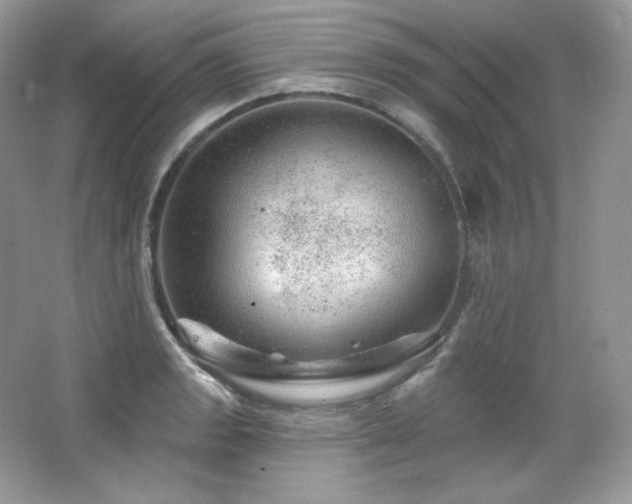 X0000065261133200602171447