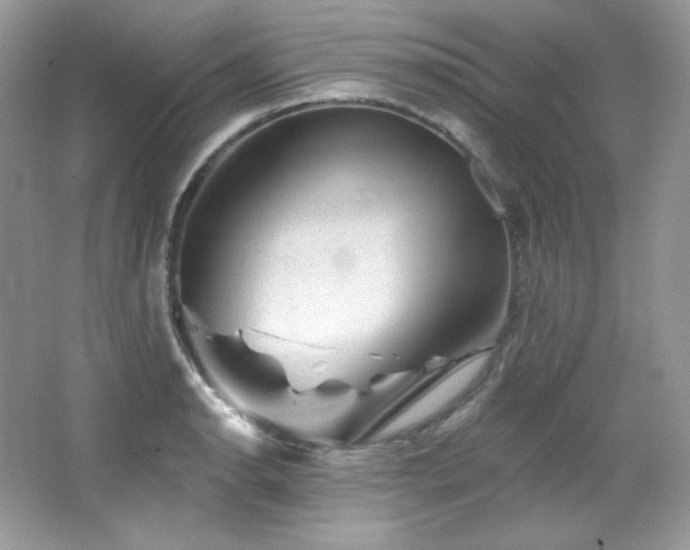 X0000065261134200602171447