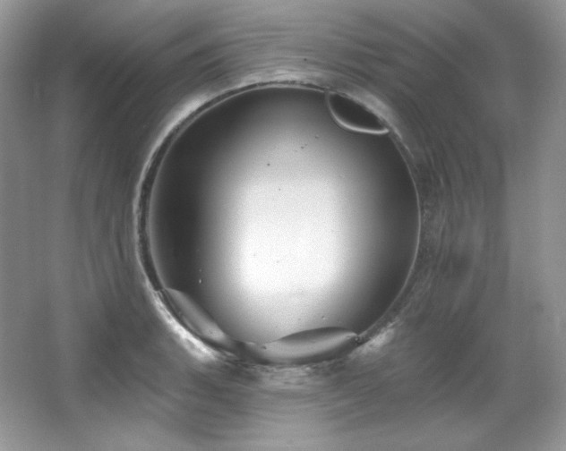 X0000065261135200602171447