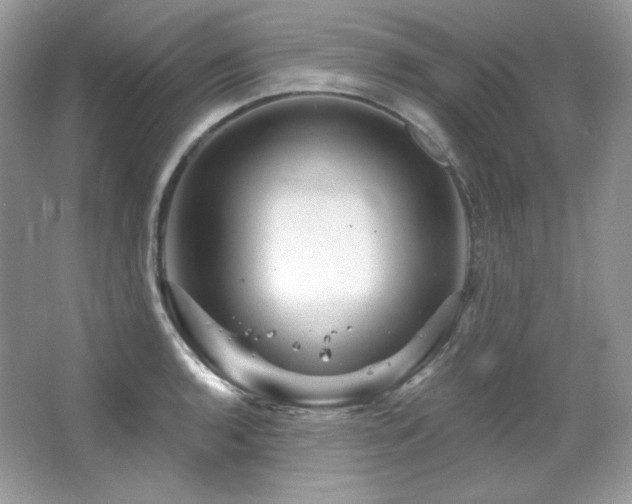 X0000065261136200602171447