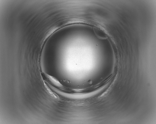 X0000065261137200602171447