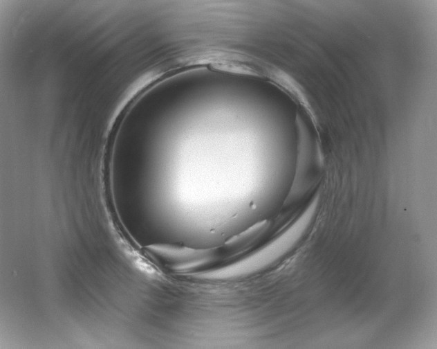 X0000065261138200602171447